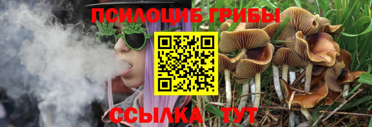 как найти закладки  Вход с VPN  Артёмовский  Галлюциногенные грибы мухоморы 